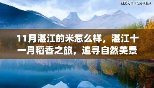 湛江十一月稻香之旅,探寻稻米之美与自然宁静
