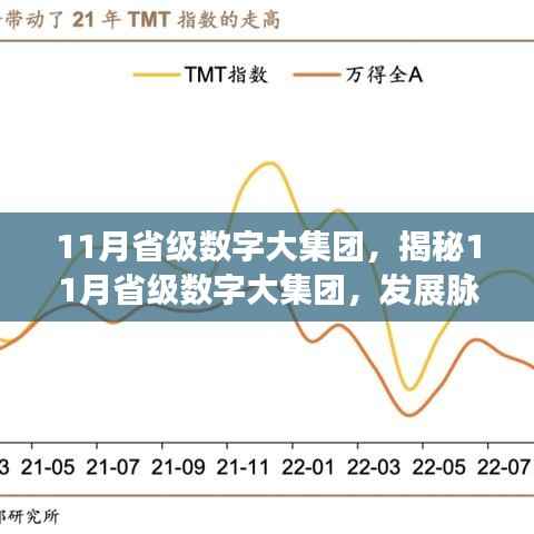揭秘,省级数字大集团的发展脉络、战略焦点与未来展望(11月展望)