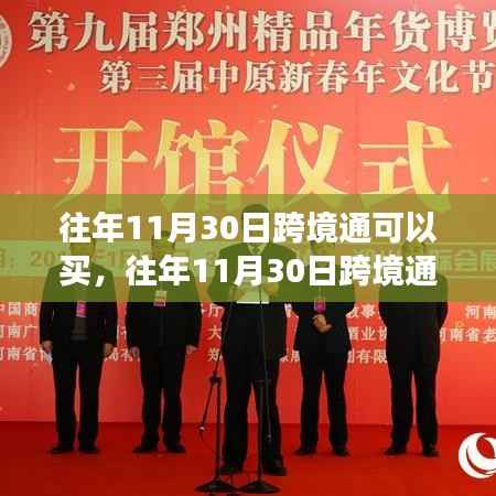 往年11月30日跨境通购买指南，产品特性、体验与目标用户群体深度解析