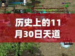 历史上的11月30日天道之戒,探秘独特阅读空间与小巷深处的秘密宝藏