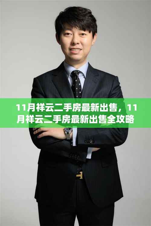 11月祥云二手房购买全攻略,从入门到成交的每一步指南