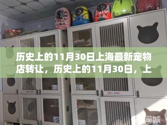 上海宠物店转让事件回顾,历史上的11月30日细节揭秘