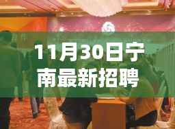 宁南最新招聘盛会解析,探寻人才发展新篇章的机遇与挑战(11月30日)