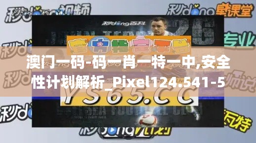 澳门一码-码一肖一特一中,安全性计划解析_Pixel124.541-5