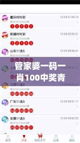 管家婆一码一肖100中奖青岛,适用性执行设计_入门版5.222-3
