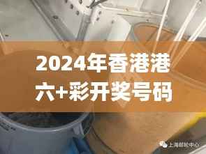 2024年香港港六+彩开奖号码,快速问题处理策略_桌面款178.657-1