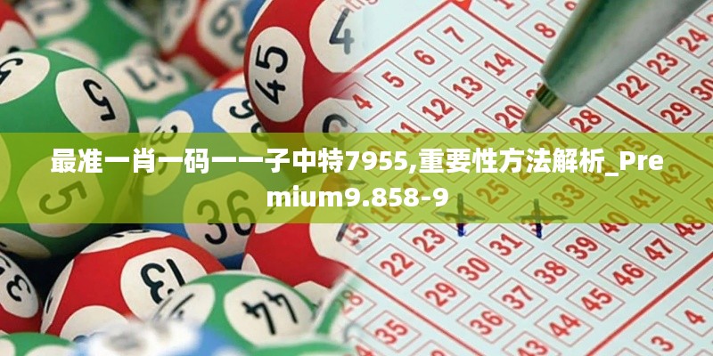 最准一肖一码一一子中特7955,重要性方法解析_Premium9.858-9