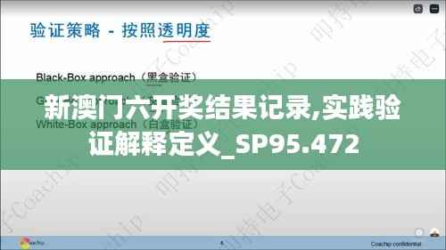 新澳门六开奖结果记录,实践验证解释定义_SP95.472