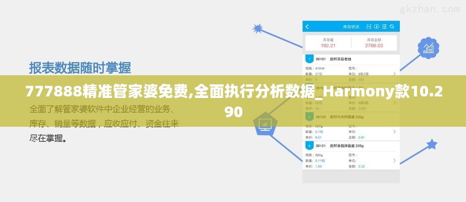 777888精准管家婆免费,全面执行分析数据_Harmony款10.290