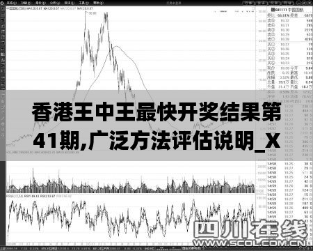 香港王中王最快开奖结果第41期,广泛方法评估说明_XT10.724