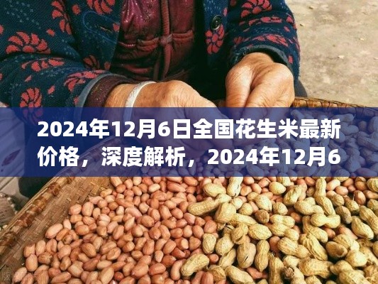 深度解析,全国花生米最新价格及市场表现(2024年12月6日)