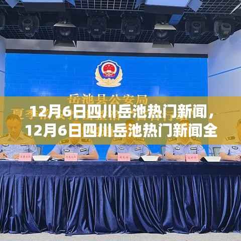 12月6日四川岳池热门新闻全方位测评与介绍