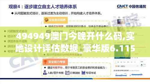 494949澳门今晚开什么码,实地设计评估数据_豪华版6.115