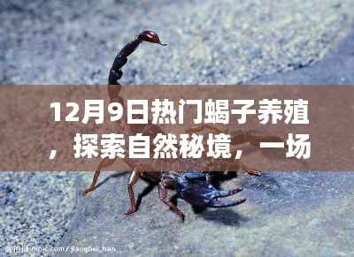 媒体报道 第403页