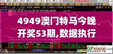 4949澳门特马今晚开奖53期,数据执行驱动决策_体验版8.485