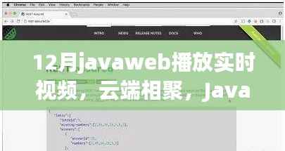 12月javaweb播放实时视频,云端相聚,JavaWeb上的温情视频时光