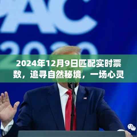 追寻自然秘境的心灵之旅,2024年12月9日票数奇迹启程