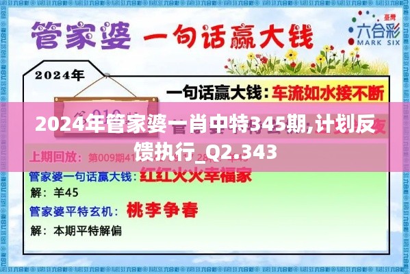 2024年管家婆一肖中特345期,计划反馈执行_Q2.343