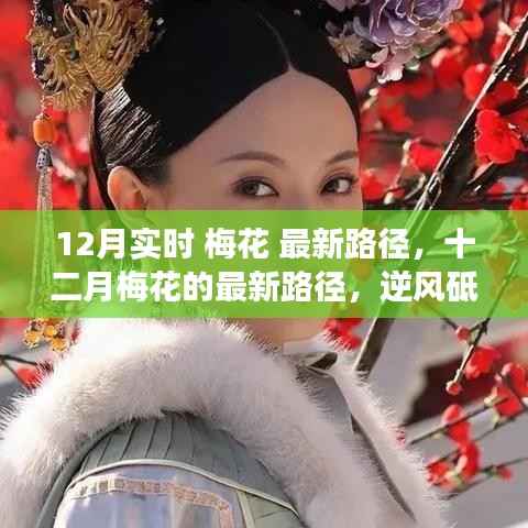 十二月梅花最新路径,逆风前行,自信绽放光彩
