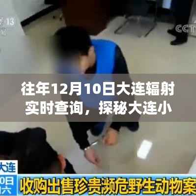 探秘大连小巷深处的辐射实时查询特色小店,历年12月10日辐射数据大揭秘