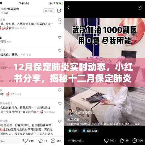 揭秘保定肺炎最新实时动态,十二月小红书分享实时更新
