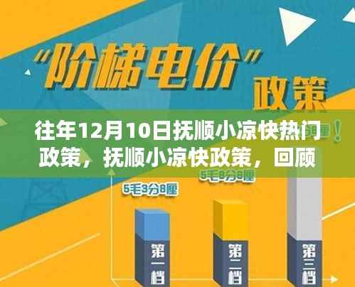 往年12月10日抚顺小凉快政策的回顾与影响，热门政策解读及影响分析