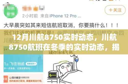 揭秘川航8750航班冬季实时动态,飞行背后的故事独家呈现