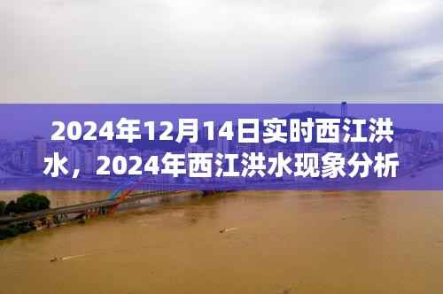 西江洪水现象分析，多方观点碰撞与个人立场下的洪水观察与思考