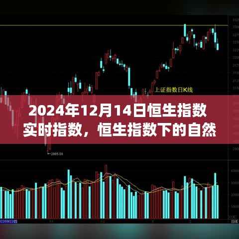 恒生指数下的心灵探索之旅,实时指数与奇妙自然之旅