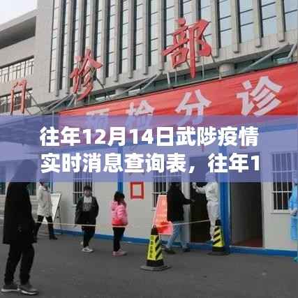 往年12月14日武陟疫情实时消息全面评测与介绍表