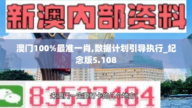 澳门100%最准一肖,数据计划引导执行_纪念版5.108
