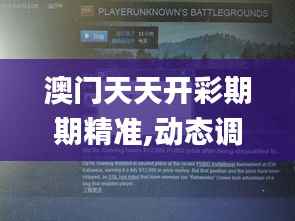 澳门天天开彩期期精准,动态调整策略执行_DX版15.942