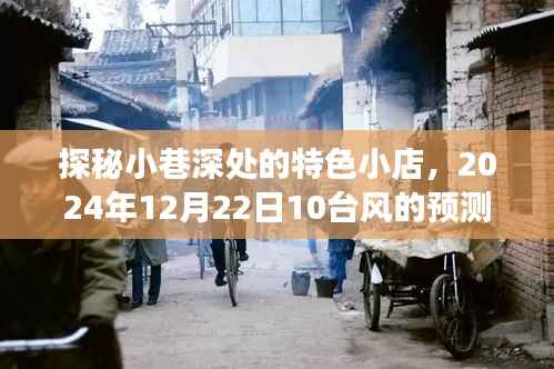 探秘小巷特色小店,台风之日的独特体验之旅