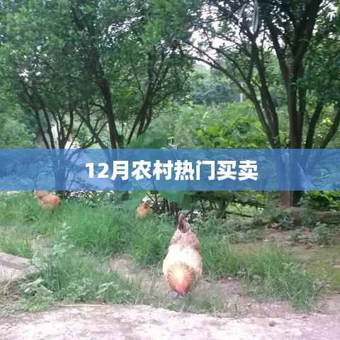 张牙舞爪 第3页