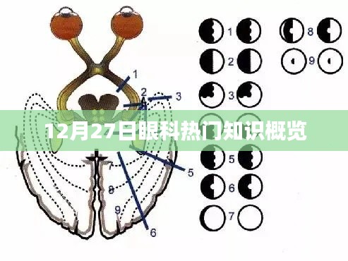 眼科知识热点速递,12月27日深度解析