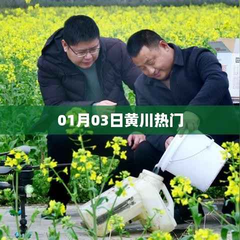 黄川热门事件回顾,最新动态揭秘