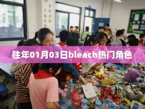 Bleach热门角色盘点,历年人气角色回顾