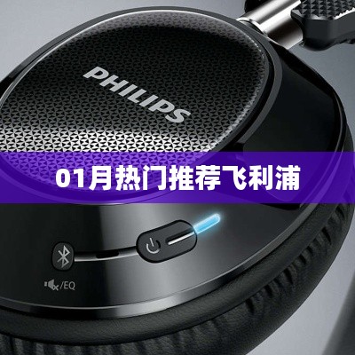 飞利浦热门产品推荐,不容错过!