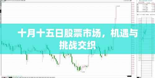 十月十五日股票市场,机遇与挑战交织