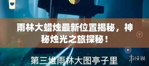 雨林大蜡烛最新位置揭秘,神秘烛光之旅探秘!