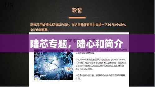 陆芯专题,陆心和简介