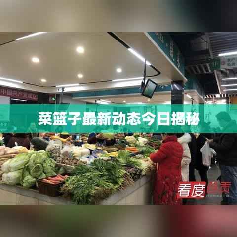 菜篮子最新动态今日揭秘