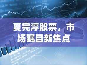 夏完淳股票,市场瞩目新焦点