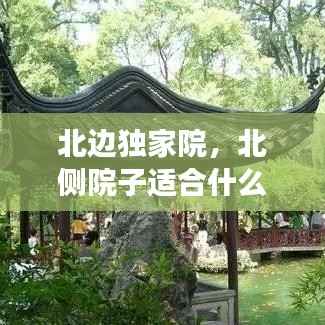 北边独家院,北侧院子适合什么植物