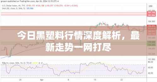 今日黑塑料行情深度解析,最新走势一网打尽