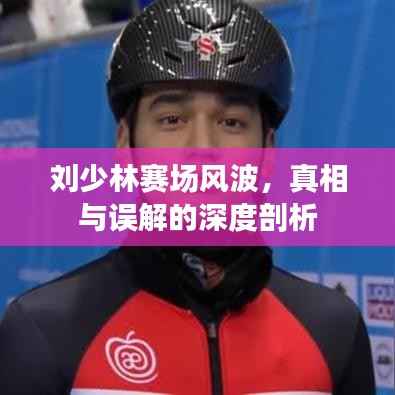 刘少林赛场风波,真相与误解的深度剖析