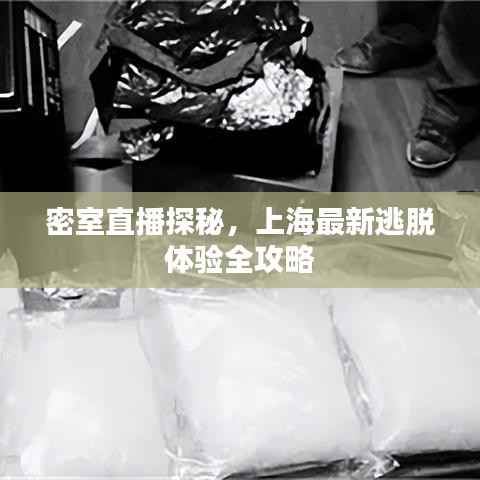 密室直播探秘,上海最新逃脱体验全攻略