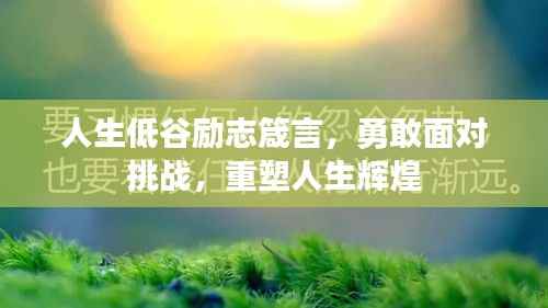 人生低谷励志箴言,勇敢面对挑战,重塑人生辉煌