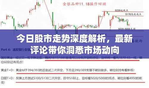 今日股市走势深度解析,最新评论带你洞悉市场动向