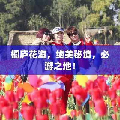 桐庐花海，绝美秘境，必游之地！